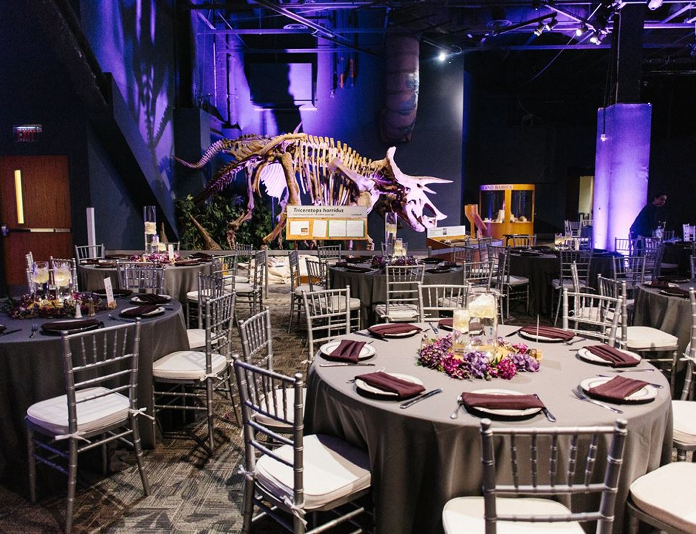 Wedding reception setup at Orlando Science Center with round tables, silver chairs, and a triceratops skeleton display
