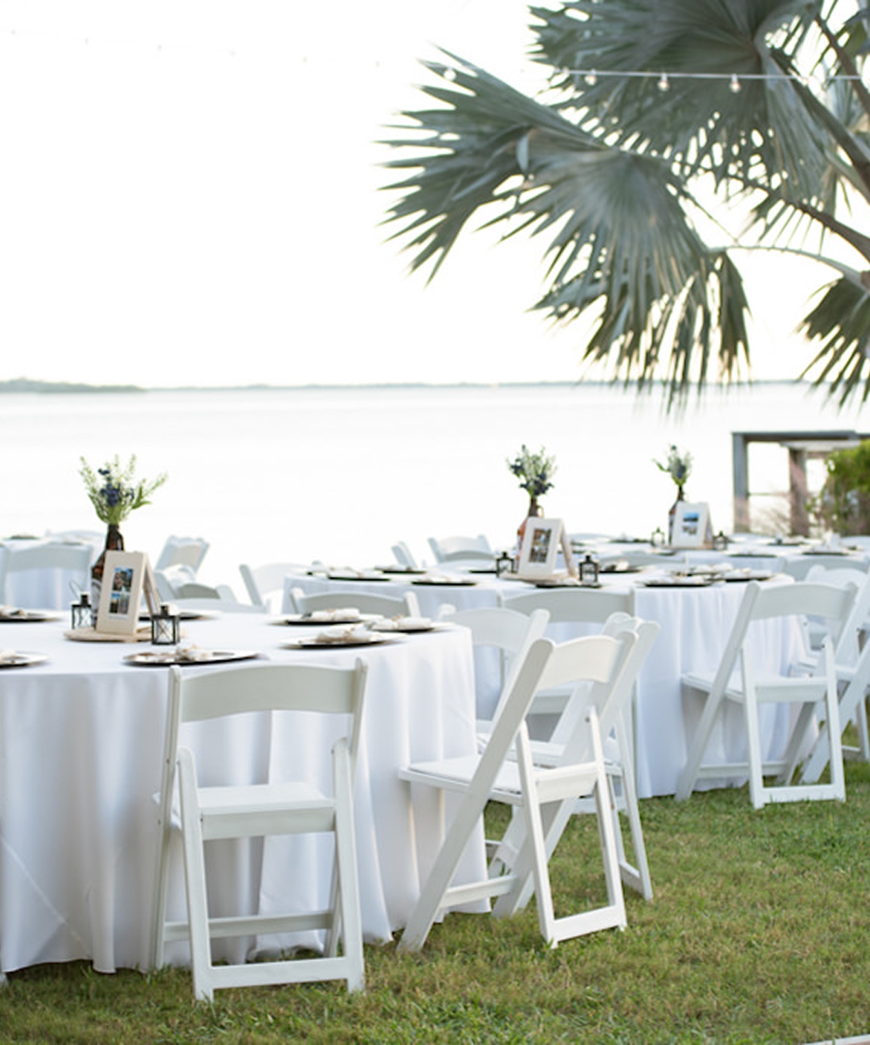 Waterfront reception at Tampa Bay Watch with white tables, simple floral centerpieces and a palm tree backdrop