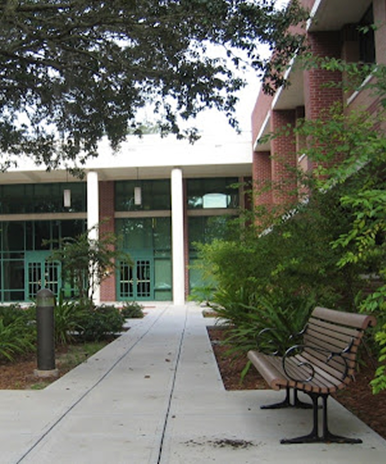 Walkway leading to the entrance of the USF Gibbons Alumni Center, surrounded by greenery and a bench