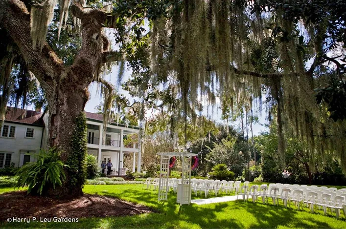 Outdoor wedding ceremony setup with moss-draped oak trees, white chairs, and a historic mansion backdrop