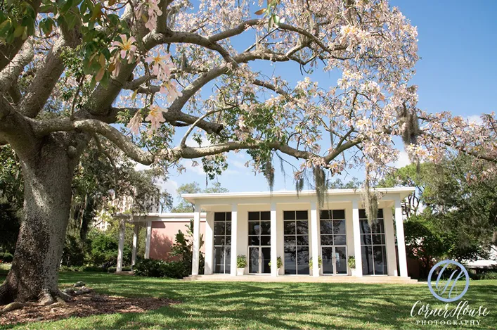 A white building with tall windows is framed by a blooming tree and lush grass under a clear blue sky